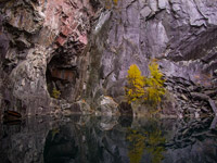 Hodge Close