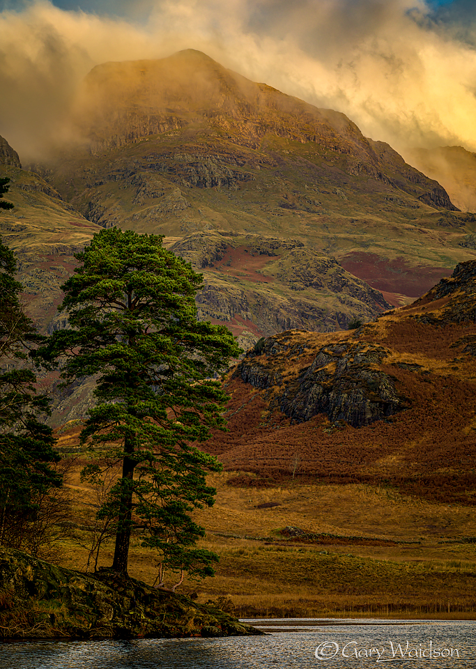 Blea Tarn and the Langdale Pikes - Fine Art Landscape Photography by Gary Waidson