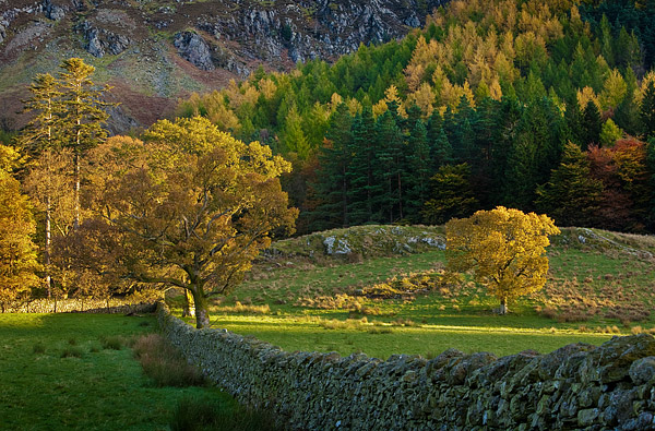 Buttermere Wall. Fine Art Landscape Photography by Gary Waidson