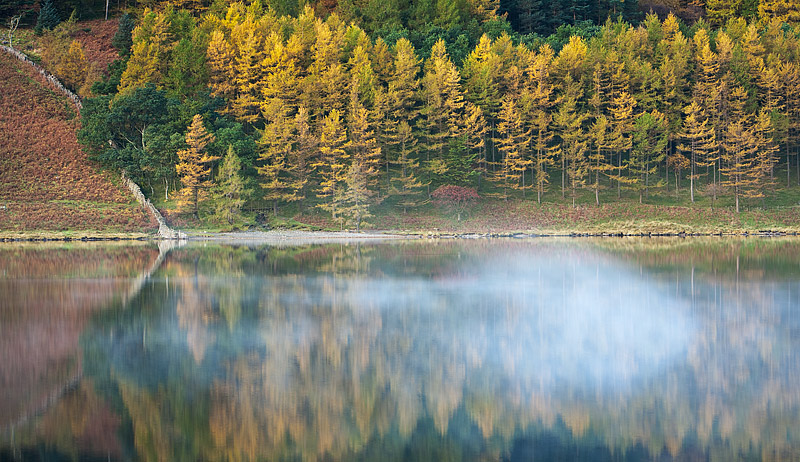 Buttermere Woods. Fine Art Landscape Photography by Gary Waidson