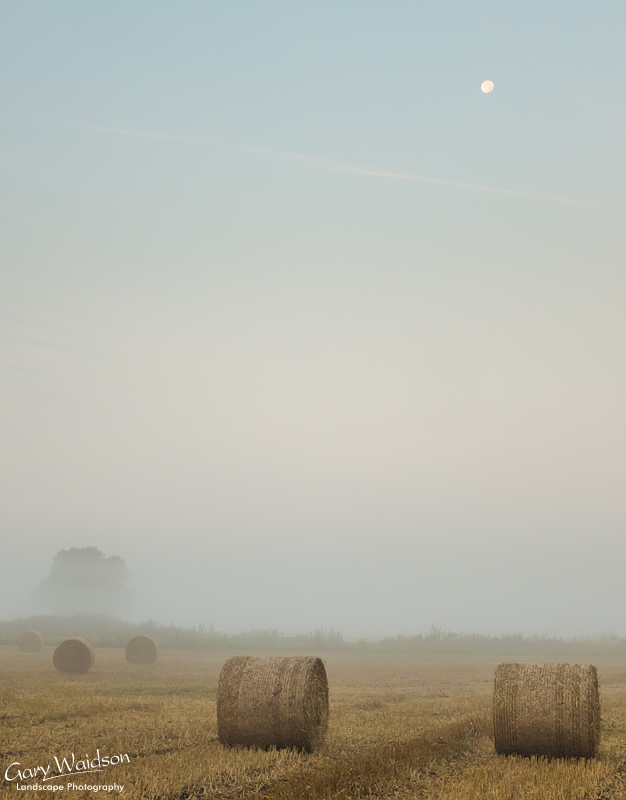 Five-Bales-under-the-Moon