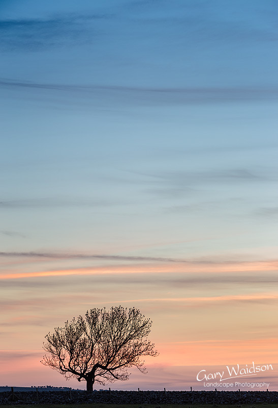 Magpie Dawn. Fine Art Landscape Photography by Gary Waidson
