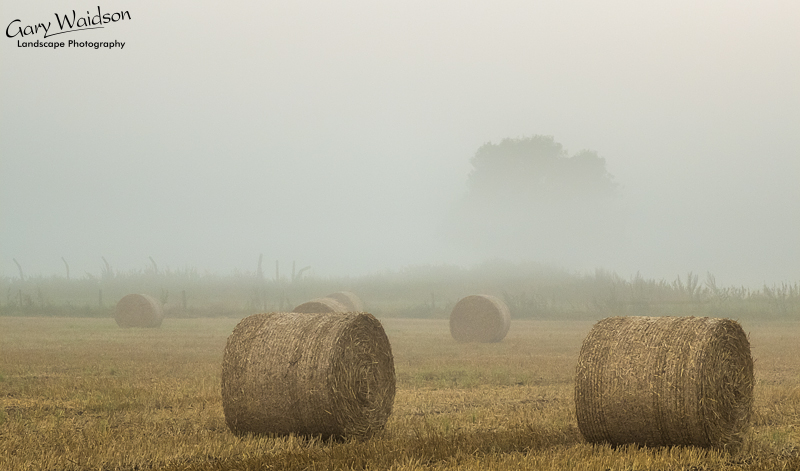 Six-Bales-in-the-Mist