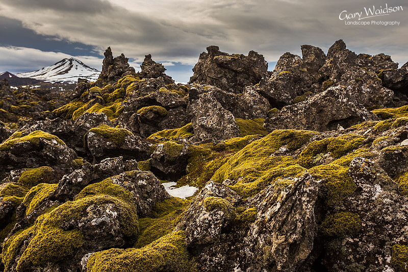 Berserkjahraun, Iceland - Photo Expeditions -  Gary Waidson - All Rights Reserved