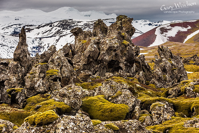 Berserkjahraun, Iceland - Photo Expeditions -  Gary Waidson - All Rights Reserved