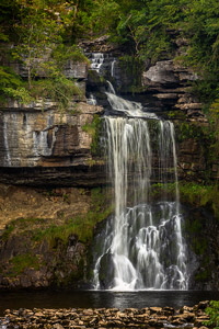 Thornton-Force 